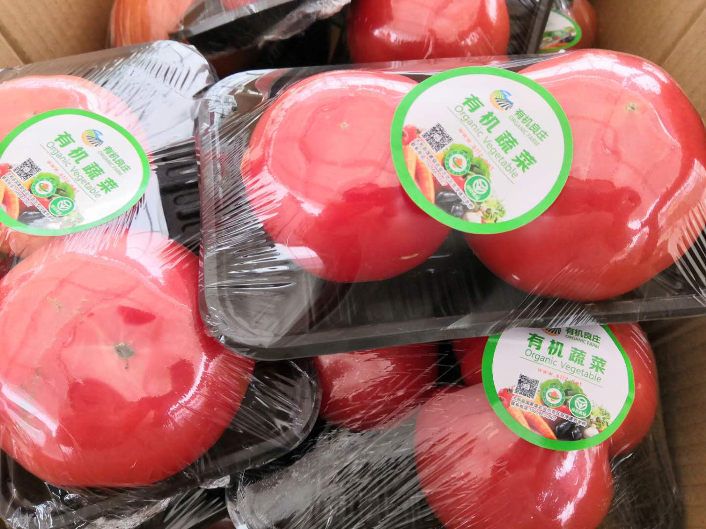 大西紅柿